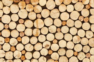 Timber Pricing in New Hampshire