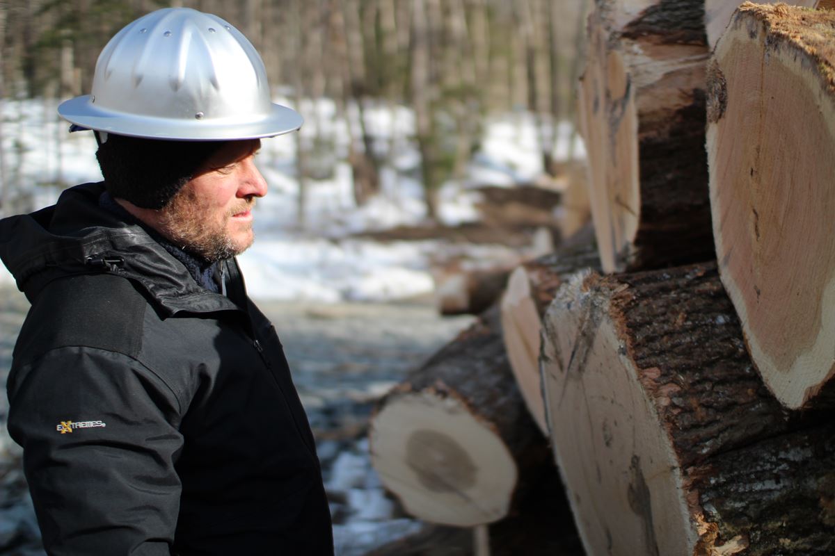 About New Hampshire & Vermont Forestry