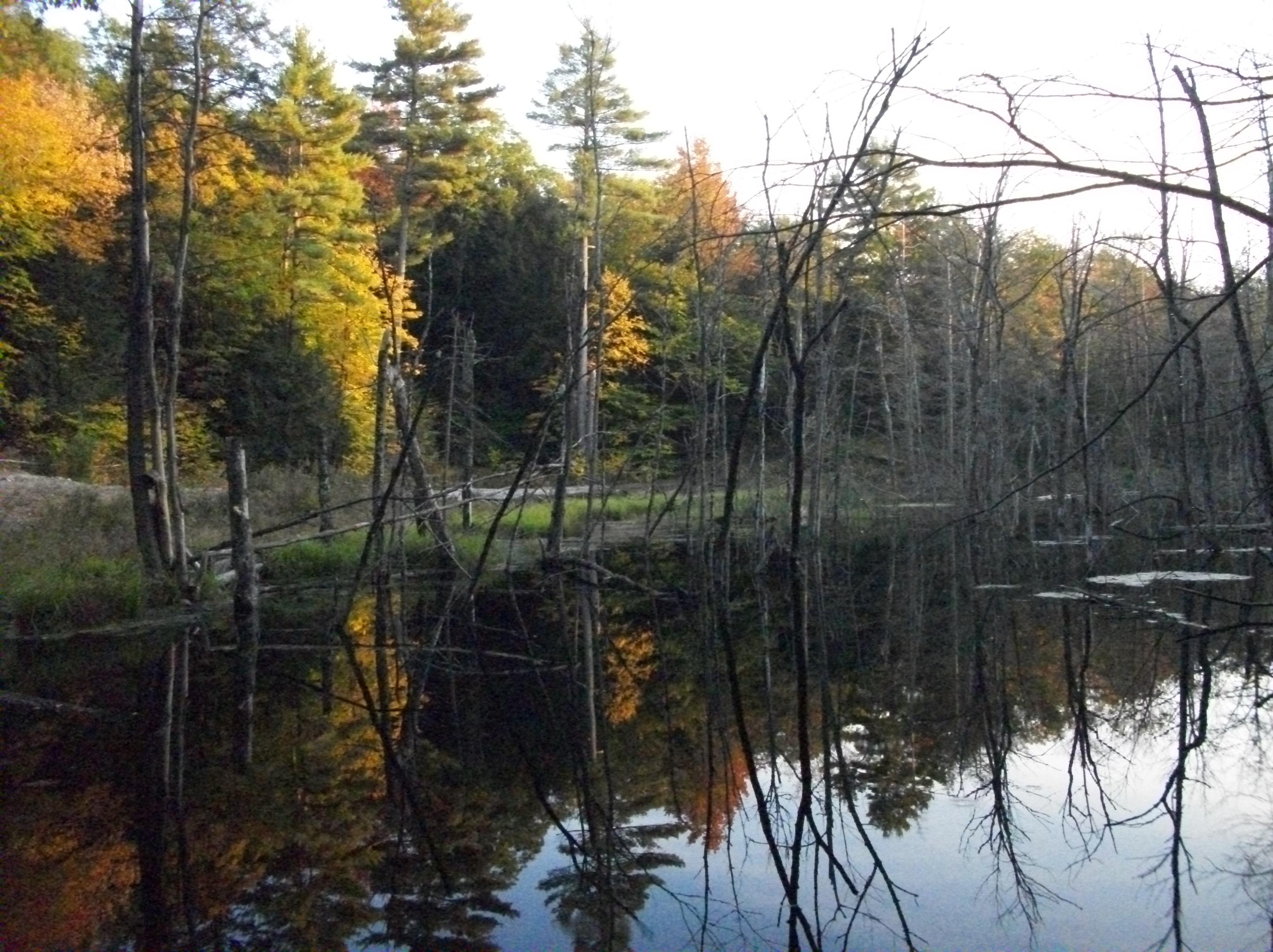 New Hampshire Annual Forest Security Inspections, Vermont Annual Forest Security Inspections