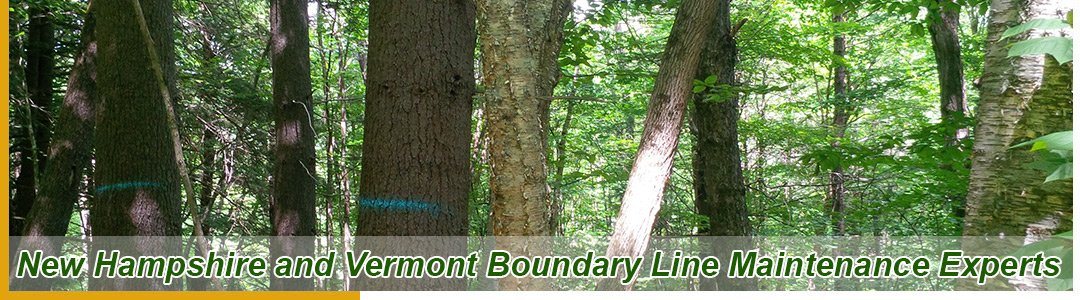 Boundary Line Maintenance