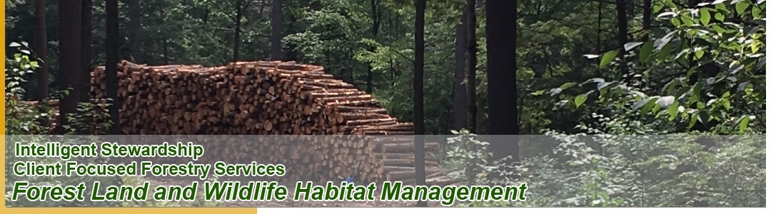 Forest Land and Wildlife Habitat Management