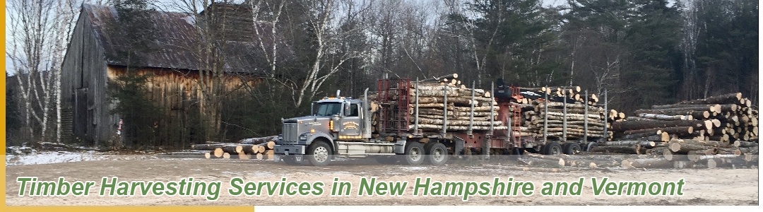 Timber Harvesting Services