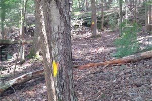 New Hampshire Boundary Line Maintenance, Vermont Boundary Line Maintenance