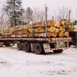 Buyers of Standing Timber