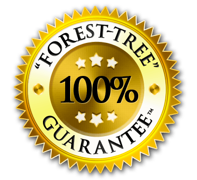 Forest-Tree Guarantee