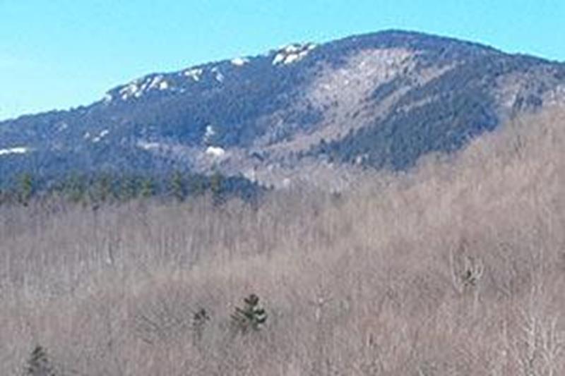 New Hampshire forestry and Vermont forestry