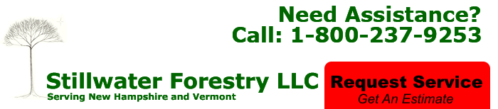 stillwater forestry