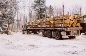 Washington Forestry