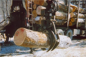 Barre Forestry