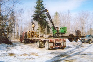 Groton Forestry