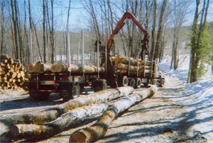 Newbury Forestry