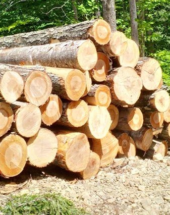 NH & VT Timber Prices - Fall 2016