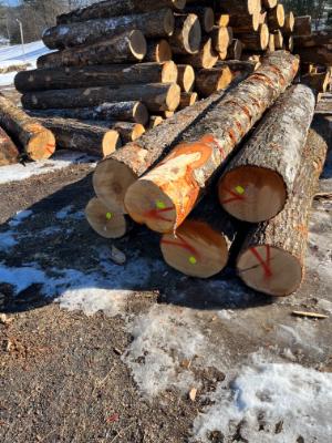 Hardwood Logs