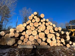 Hardwood Logs