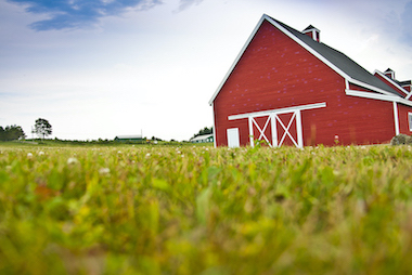 New Hampshire Pasture Clearing, Vermont Pasture Clearing