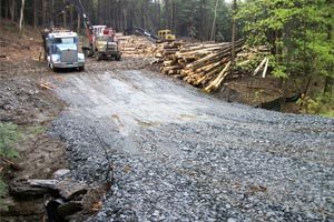 New Hampshire Timber Harvesting, Vermont Timber Harvesting