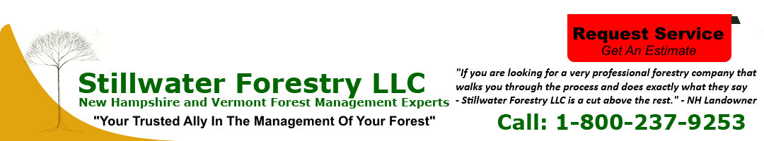 stillwater forestry