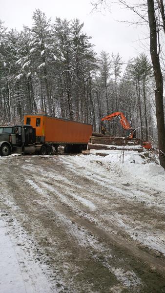 Charlestown NH Forestry Services