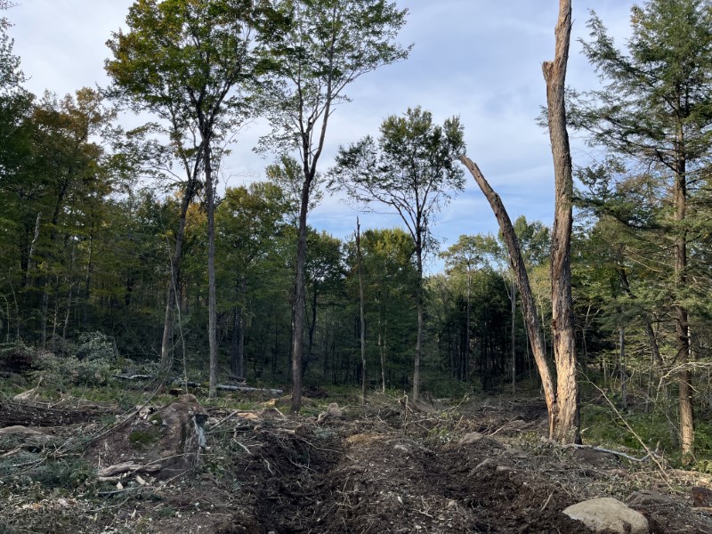 Timber Appraisal & Timber Harvest For Wildlife Habitat in Gilsum , NH