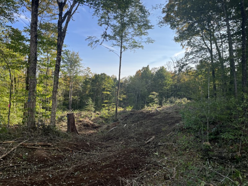 Timber Appraisal & Timber Harvest For Wildlife Habitat in Gilsum , NH