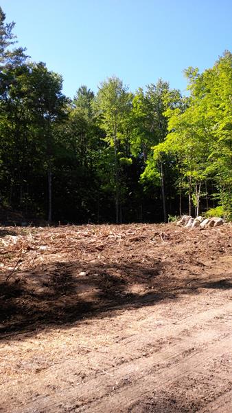 Unity NH Forestry Services