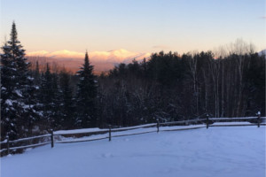 Timber Harvest In Bethlehem NH