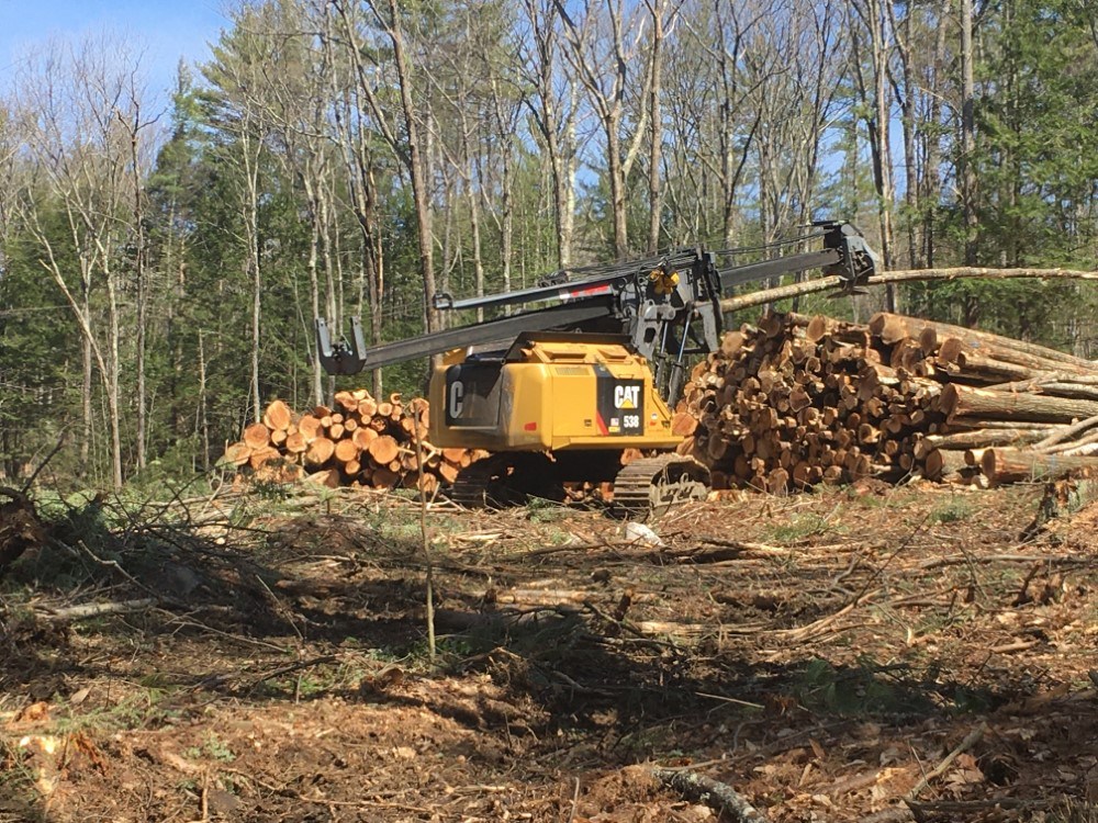 Timber Harvesting In Swanzey