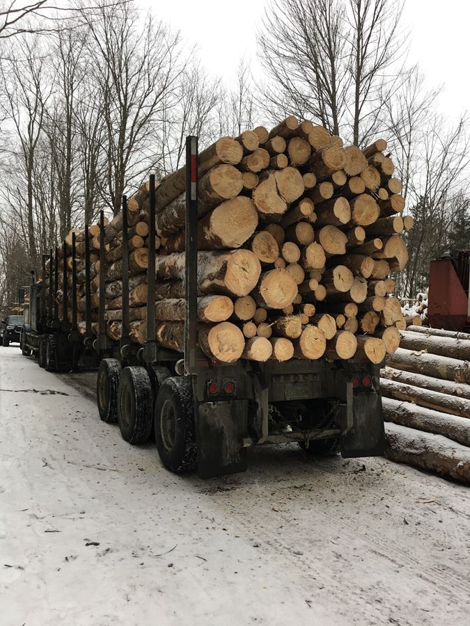 Selective Timber Harvest + House Site/ Agricultural Clearing in Tunbridge, VT