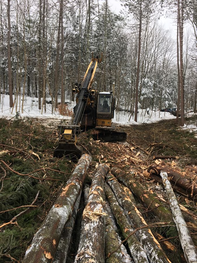 Selective Timber Harvest + House Site/ Agricultural Clearing in Tunbridge, VT