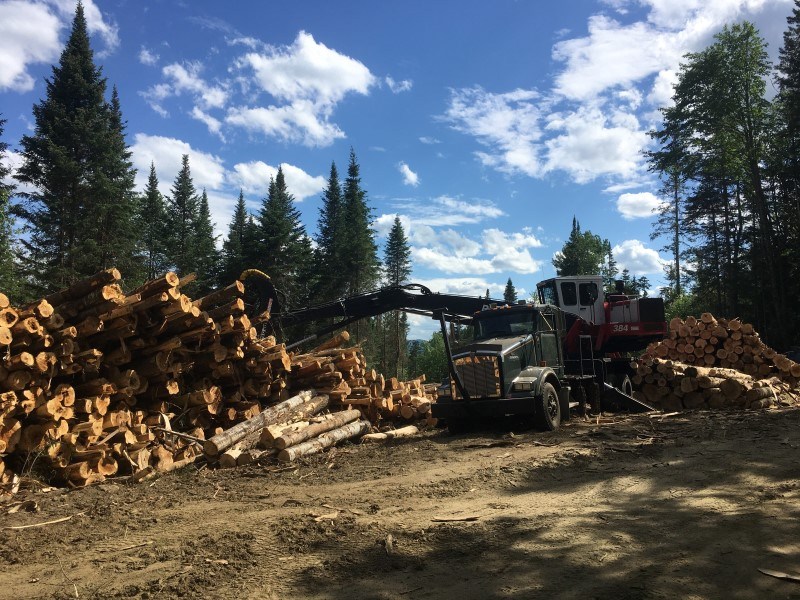 wildlife habitat improvement