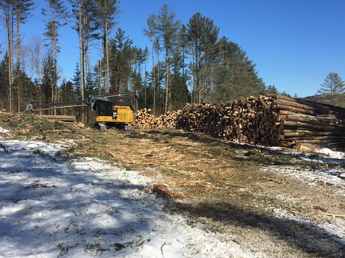 Timber Harvest in Sullivan County, NH