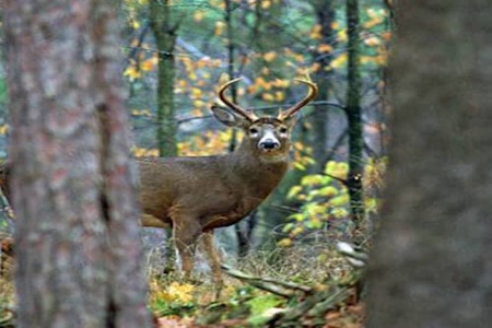 Andover, ME