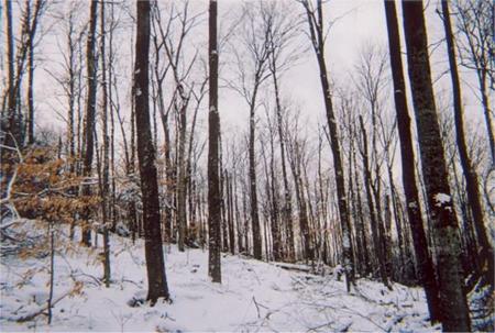 Brownfield, ME