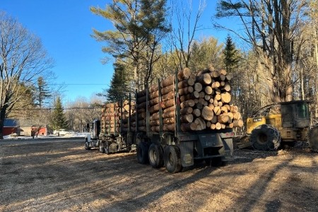 Newbury, VT