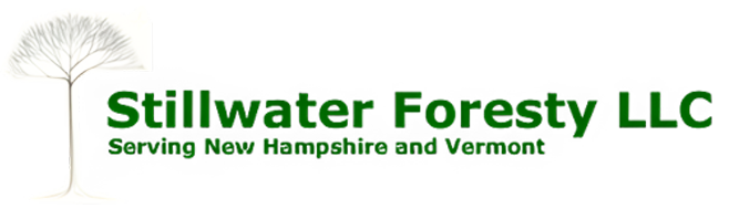 Stillwater Forestry LLC Logo