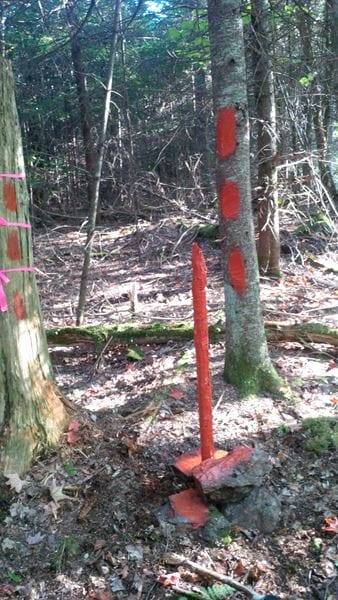 Boundary Line Maintenance in Colebrook, NH Thumbnail
