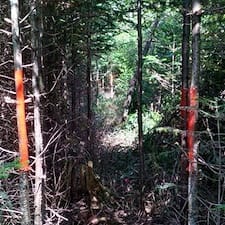 Boundary-Line-Maintenance-in-Colebrook-NH 1