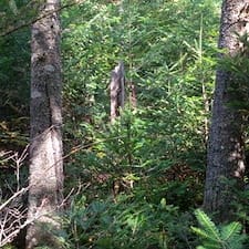 Boundary-Line-Maintenance-in-Colebrook-NH 0