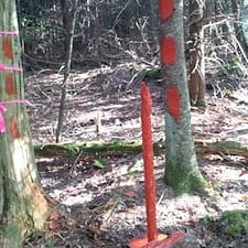 Boundary Line Maintenance in Colebrook, NH
