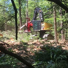Forest-Management-Plan-in-Sutton-NH 4