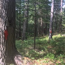 Forest-Management-Plan-Boundary-Line-Project-in-Shelburne-NH 1