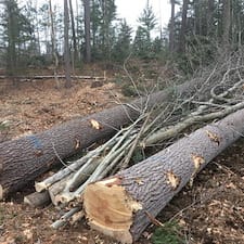 Forest-Management-Plan-Boundary-Line-Project-in-Shelburne-NH 3
