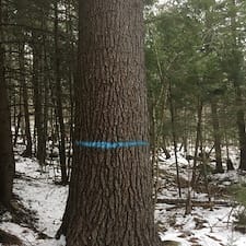 Forest-Management-Plan-Boundary-Line-Project-in-Shelburne-NH 5