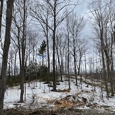 Forest Management Plan & Timber Harvesting in Shelburne, NH