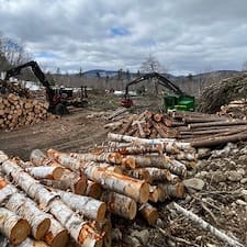 Forest-Management-Plan-Timber-Harvesting-in-Shelburne-NH 1