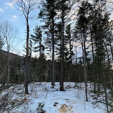 Forest-Management-Plan-Timber-Harvesting-in-Shelburne-NH 3