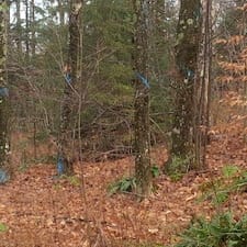Pasture-Cleaning-in-Bethel-VT 1