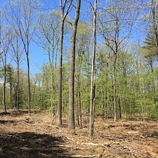Pasture Cleaning & Timber Harvesting in Raymond, NH