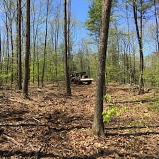 Pasture-Cleaning-Timber-Harvesting-in-Raymond-NH 1