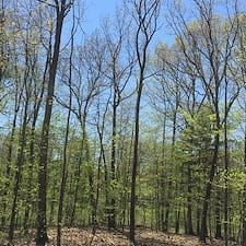 Pasture-Cleaning-Timber-Harvesting-in-Raymond-NH 2
